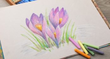 pastel drawing classes orange county ca pastel drawing classes orange county ca
