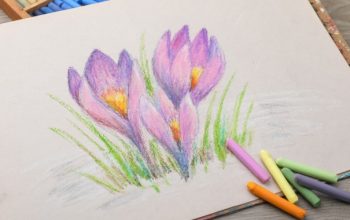pastel drawing classes orange county ca